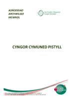 Adroddiad Archwiliad Mewnol Cyngor Cymuned Pistyll 2023-24